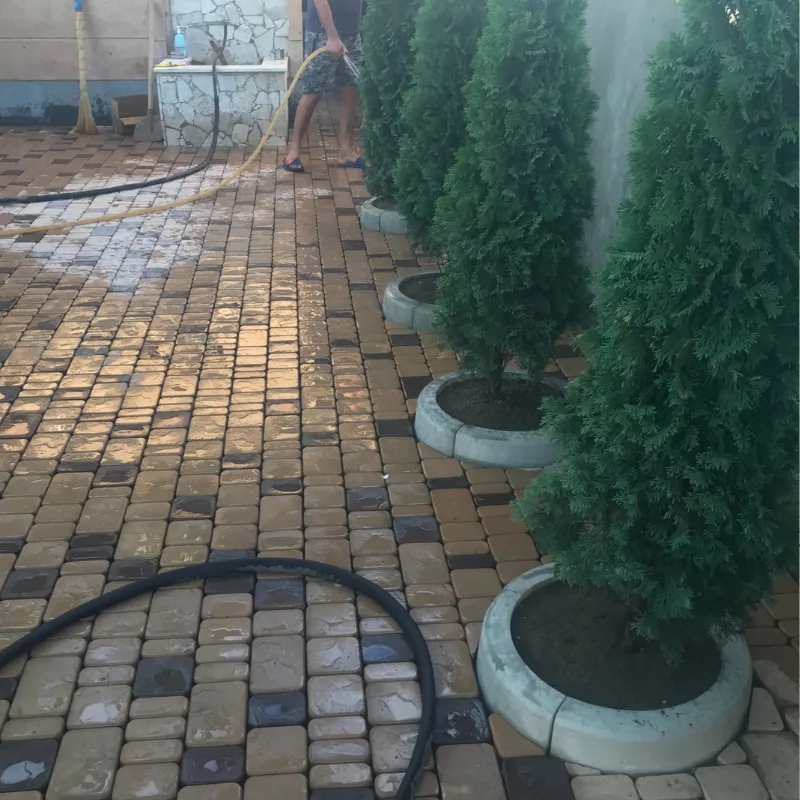 Եզրաքար կլոր